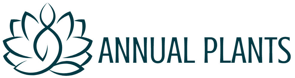 Deals The Petalique Store