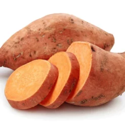 Centennial Sweet Potato