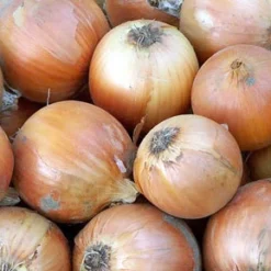 Copra Onion