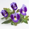 Indigo Moon Torenia