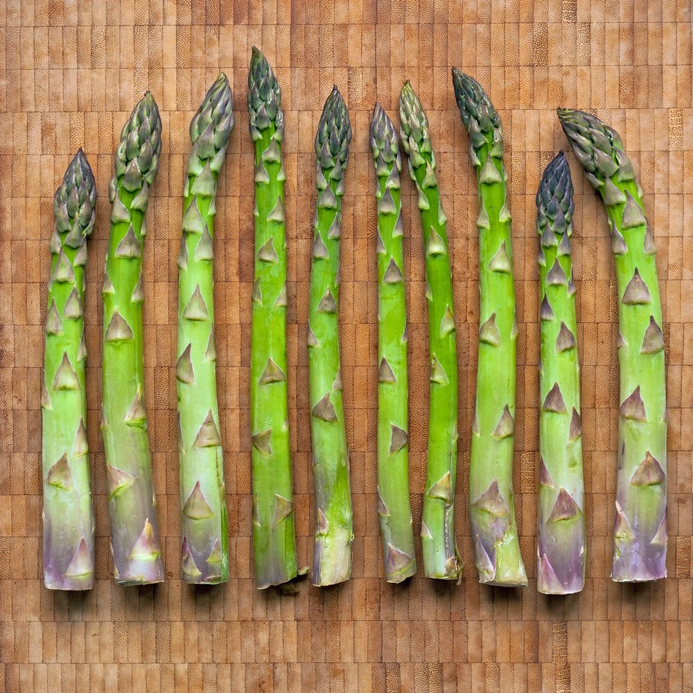 Jersey Giant Asparagus Plant - 2-3 Year Crowns - 10-Pack