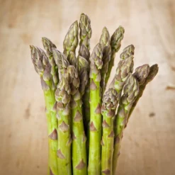 Jersey Supreme Asparagus Plant - 2-3 Year Crowns - 10-Pack